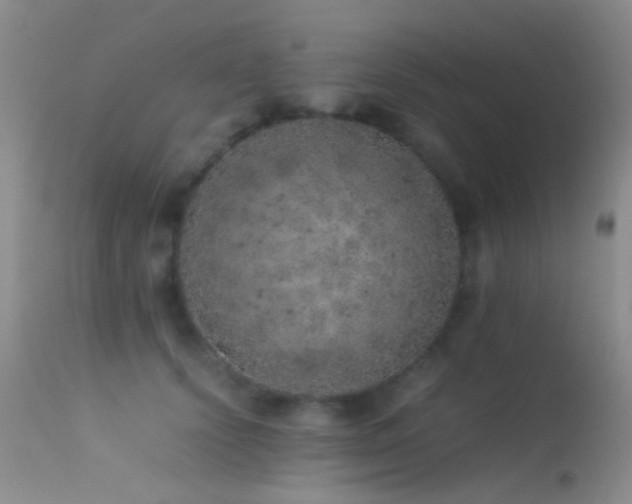 X0000113330656200909141428