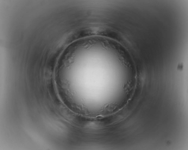 X0000113330657200909141428