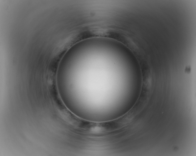 X0000113330658200909141428