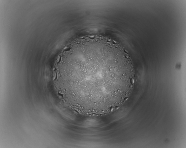X0000113330659200909141428