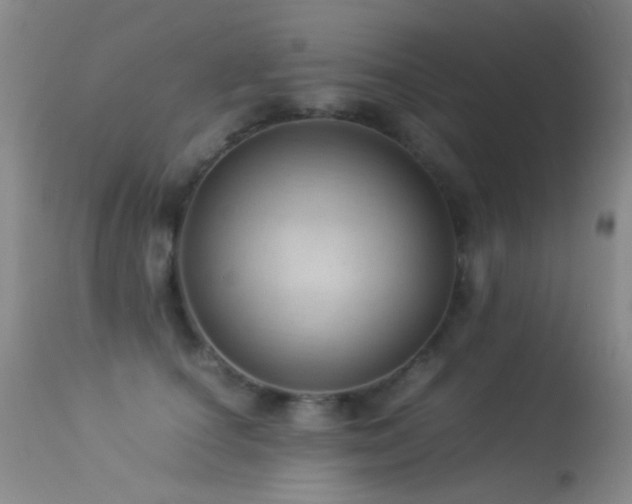 X0000113330660200909141428