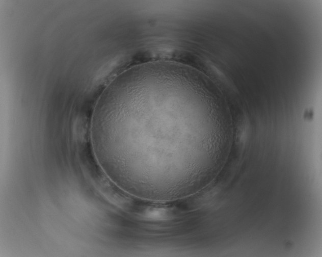 X0000113330661200909141428