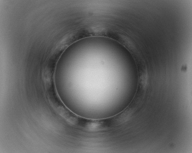 X0000113330662200909141428