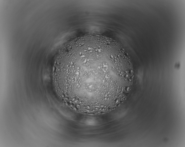X0000113330663200909141428