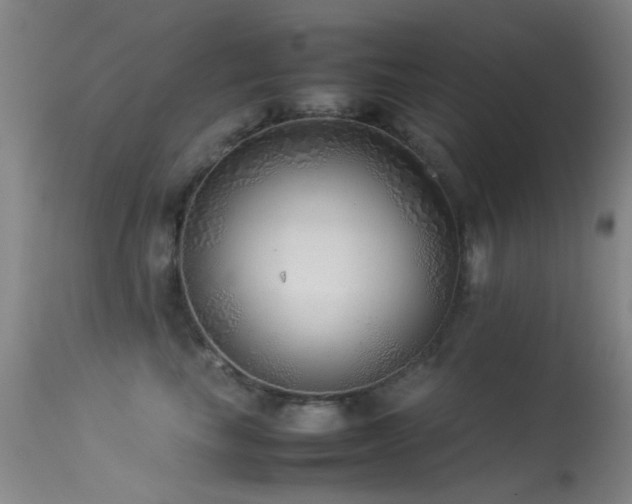 X0000113330665200909141428