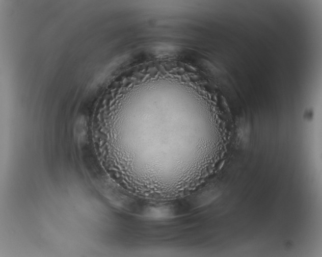 X0000113330667200909141428