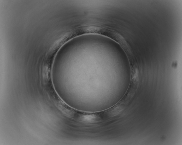 X0000113330669200909141428
