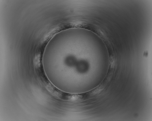 X0000113330670200909141428