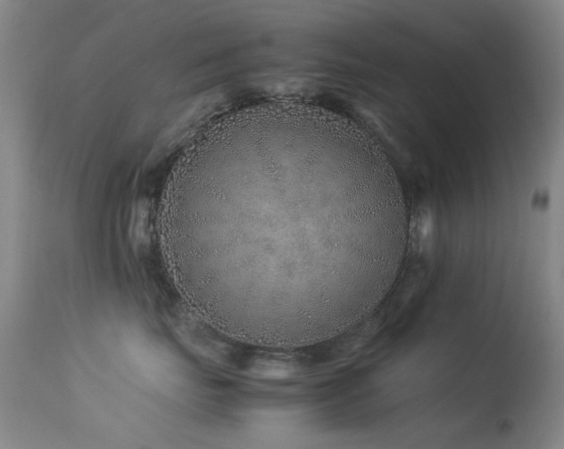 X0000113330671200909141428