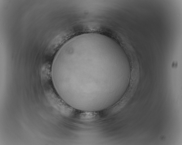 X0000113330672200909141428