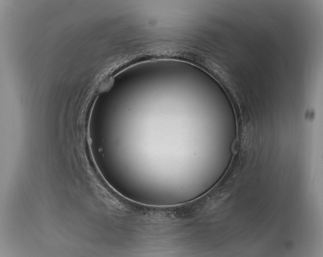 X0000113330673200909141428