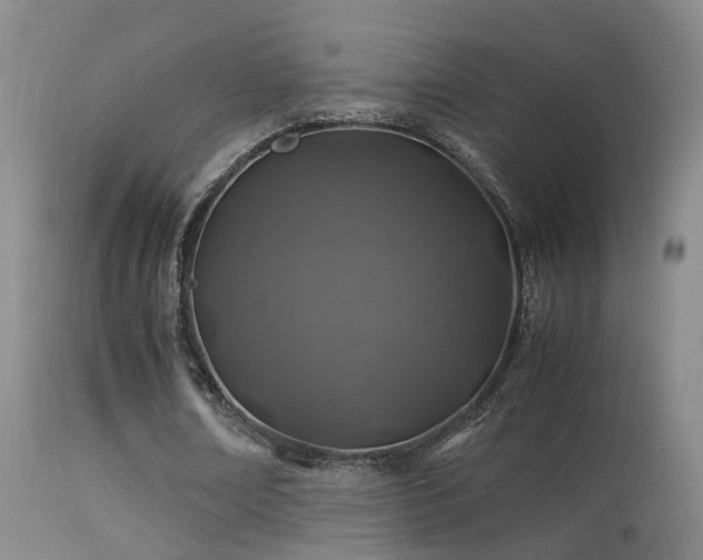 X0000113330674200909141427