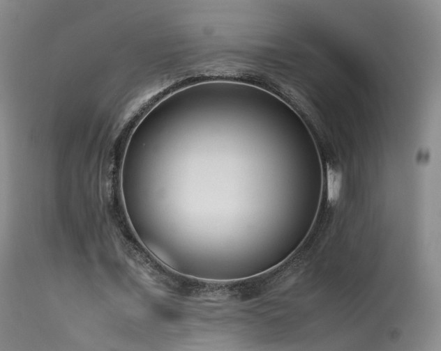 X0000113330675200909141427