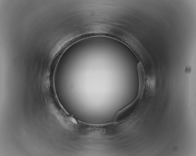 X0000113330676200909141427