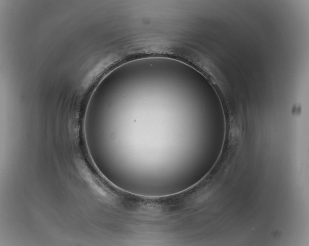 X0000113330677200909141427