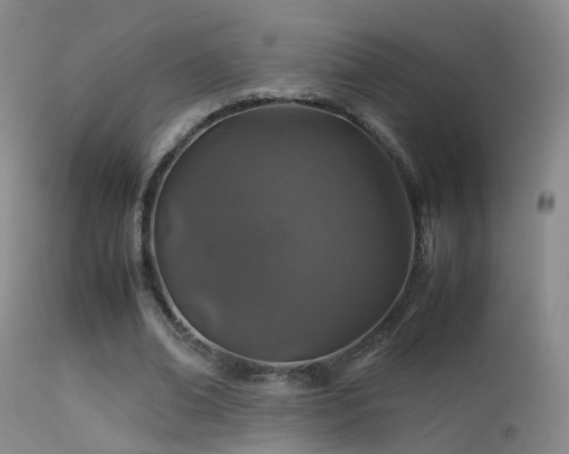 X0000113330678200909141427