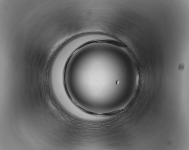 X0000113330680200909141427