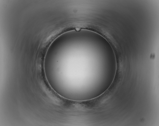X0000113330681200909141427