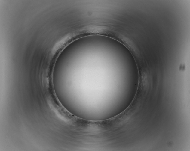 X0000113330682200909141427