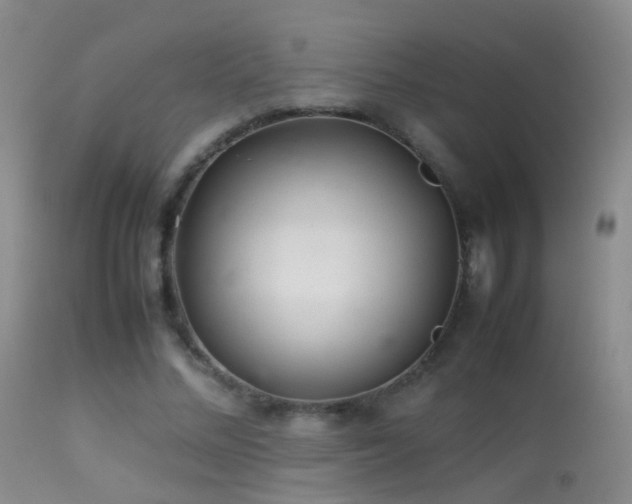 X0000113330684200909141427