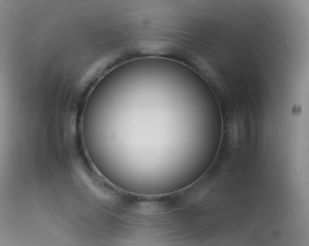X0000113330686200909141427