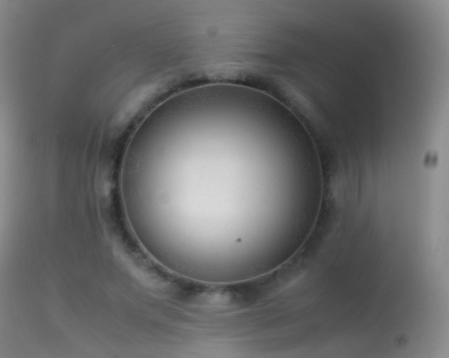 X0000113330687200909141427