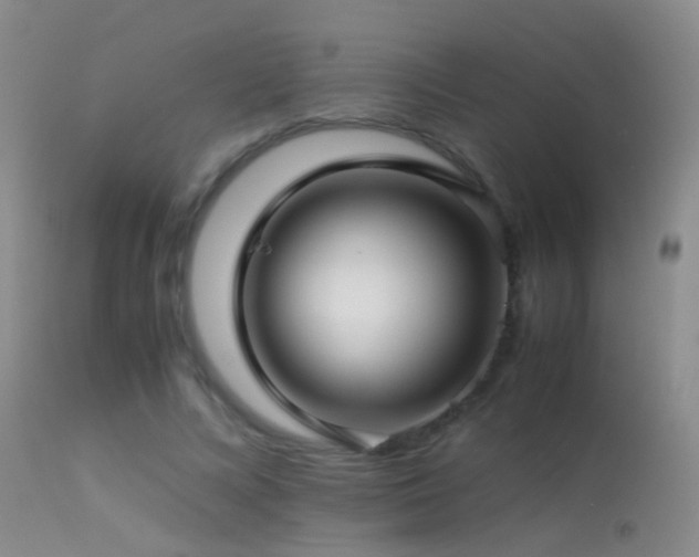 X0000113330688200909141427