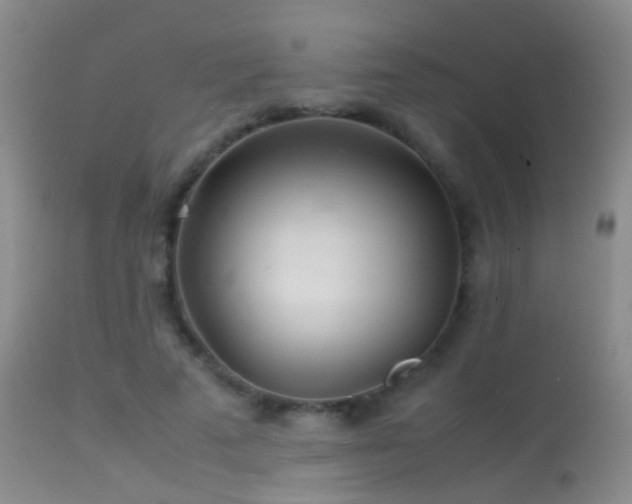 X0000113330689200909141427