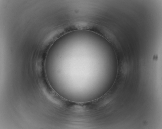 X0000113330690200909141427