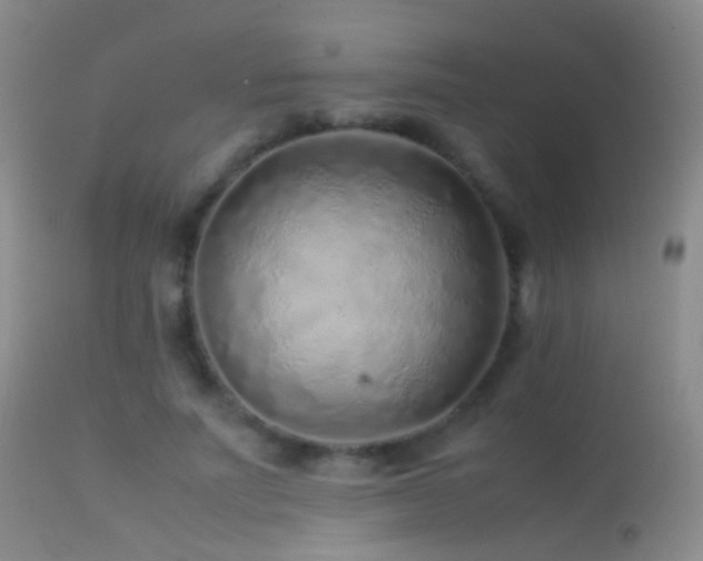 X0000113330691200909141427