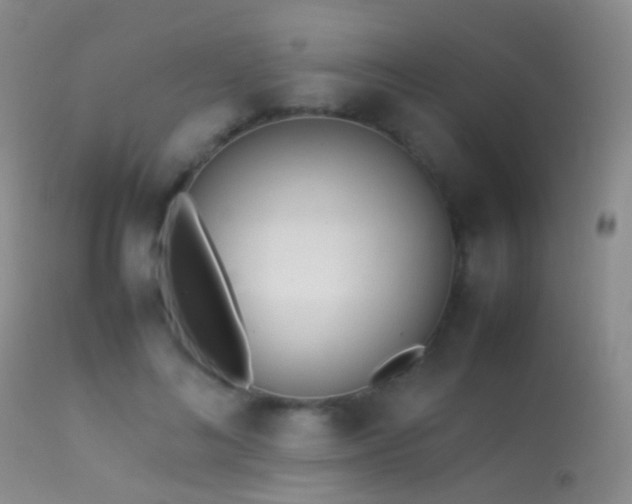 X0000113330692200909141427