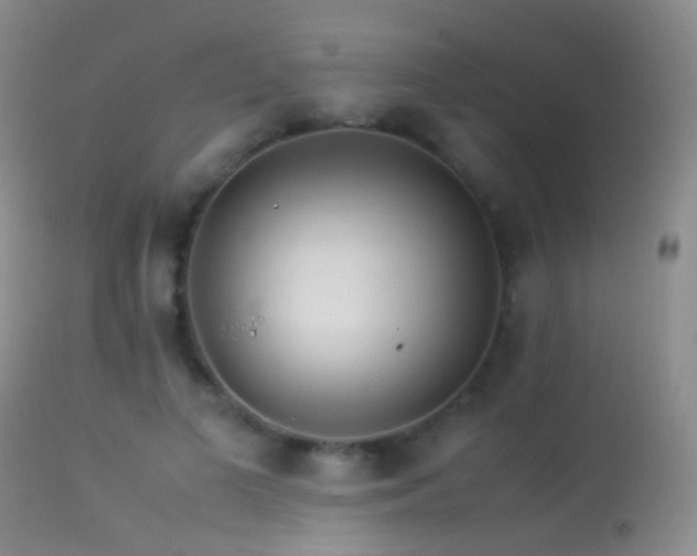 X0000113330693200909141427