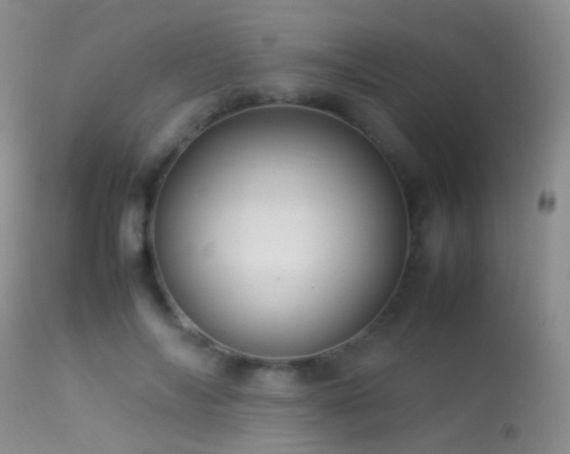 X0000113330694200909141427