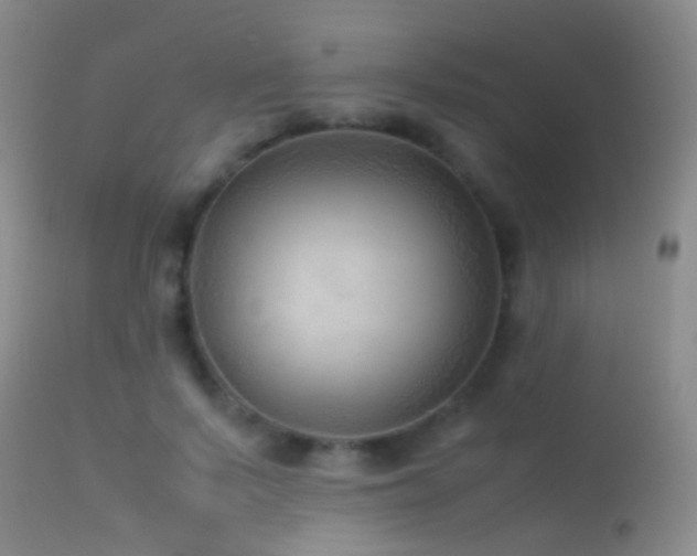 X0000113330695200909141427