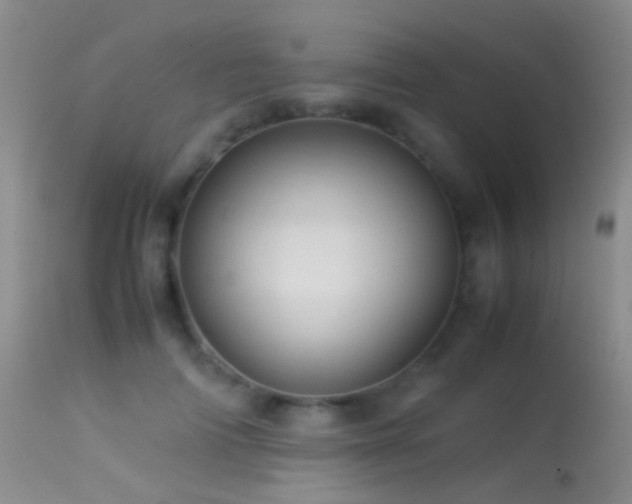 X0000113330698200909141427