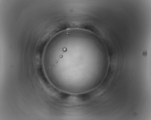 X0000113330699200909141427
