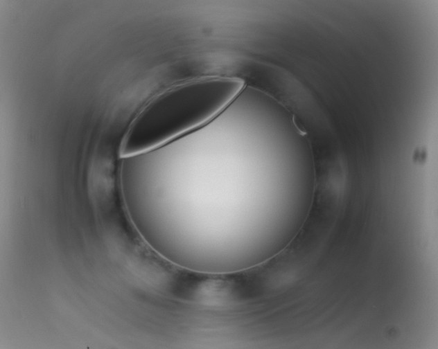 X0000113330700200909141427