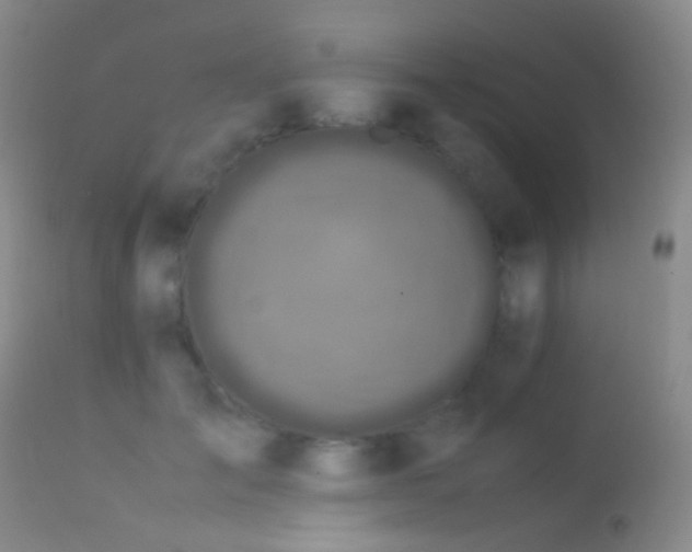 X0000113330701200909141427