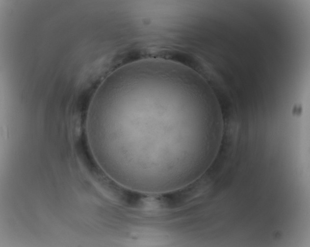 X0000113330703200909141427