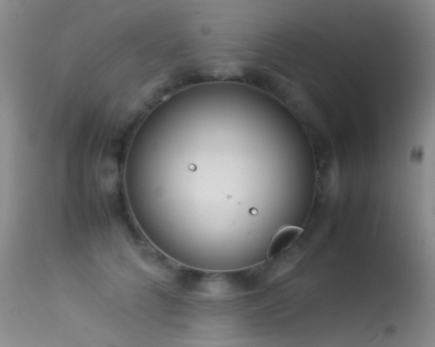 X0000113330704200909141427