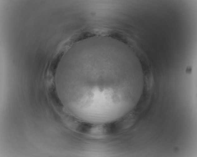 X0000113330705200909141427
