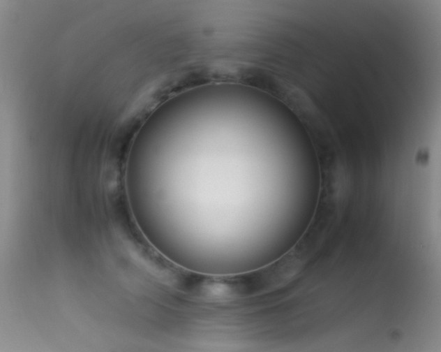 X0000113330706200909141427