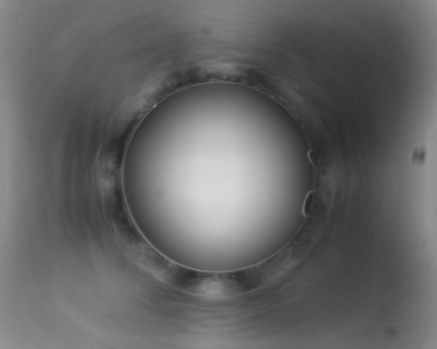 X0000113330708200909141427