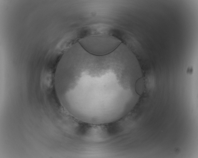 X0000113330709200909141427