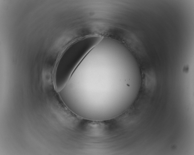 X0000113330712200909141427