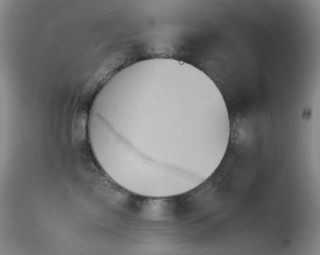 X0000113330717200909141427