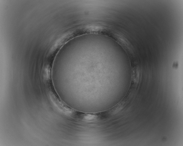X0000113330718200909141427