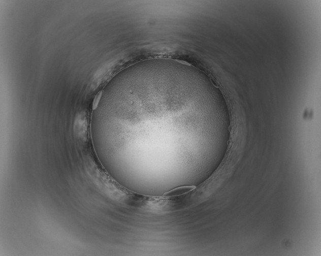 X0000113330720200909141427