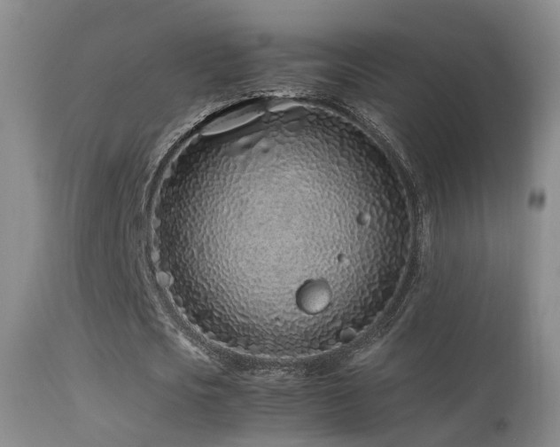 X0000113330721200909141426