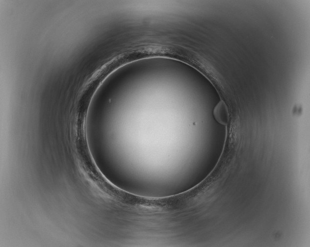 X0000113330722200909141426